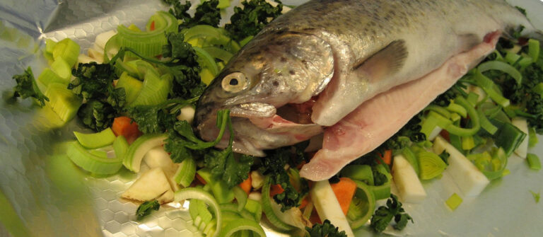 Die Forelle »George« vor ihrem Saunabesuch im Backofen.