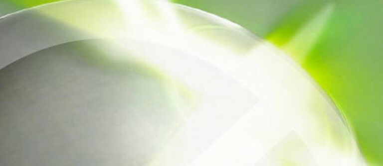 Meine Xbox 360 kann bloggen