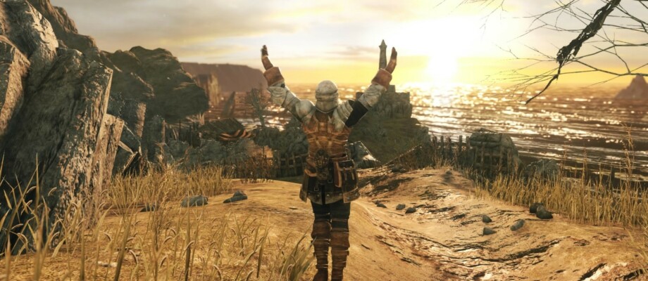 Dark Souls 2 Scholar of the first Sin