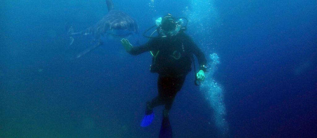 Tauchschein in Ägypten: Open Water Diver