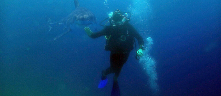 Tauchschein in Ägypten: Open Water Diver