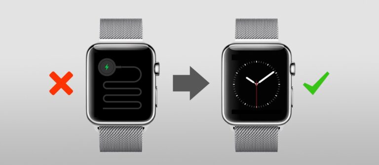 Apple Watch und die Schlange des Todes