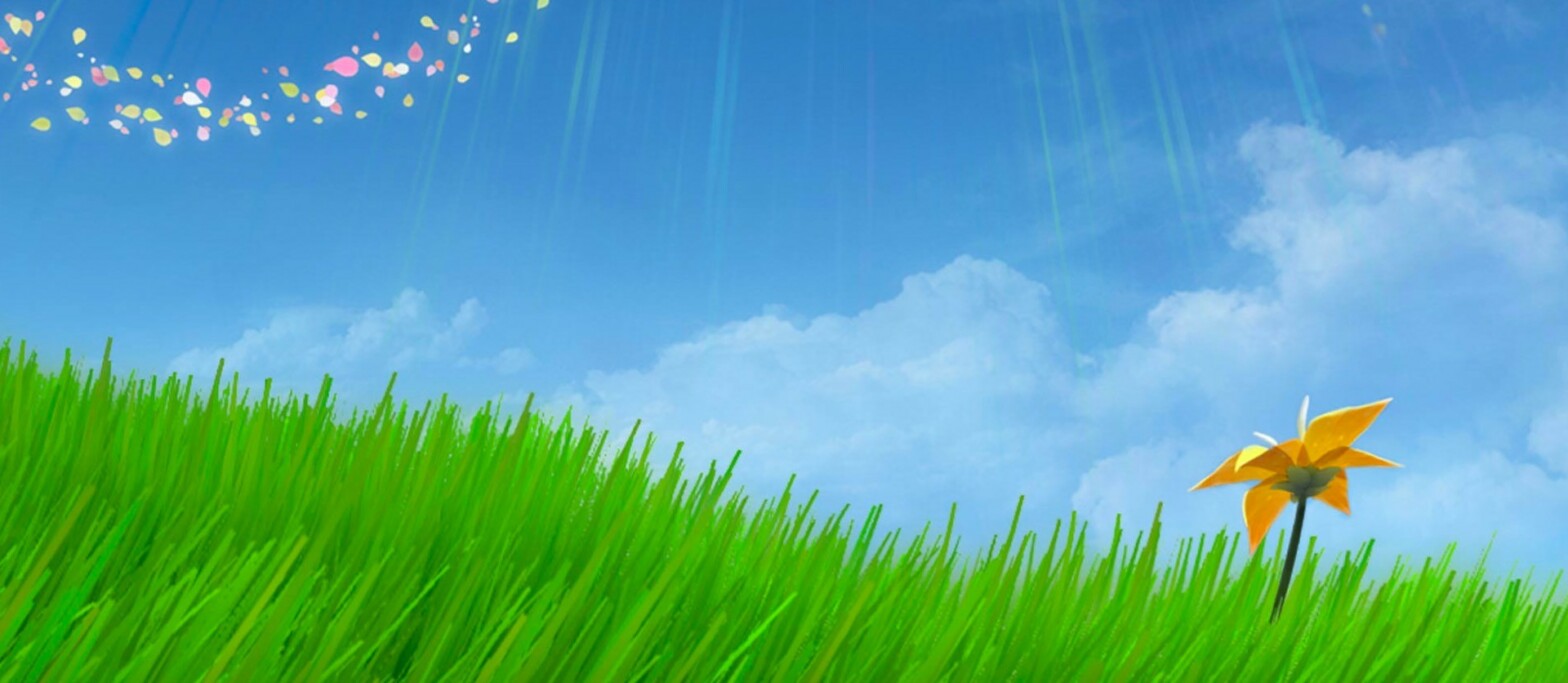 Neues Theme: A Field of Flowers