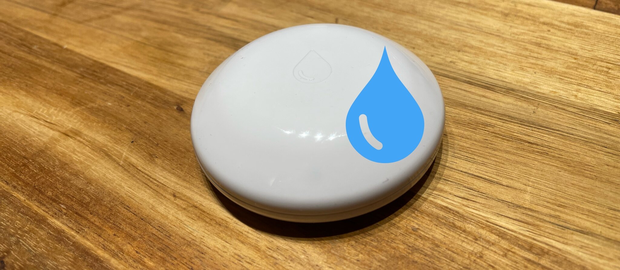 Shelly Flood: Wassersensor mit App Push ohne Hub