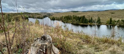 Wandern im Harz