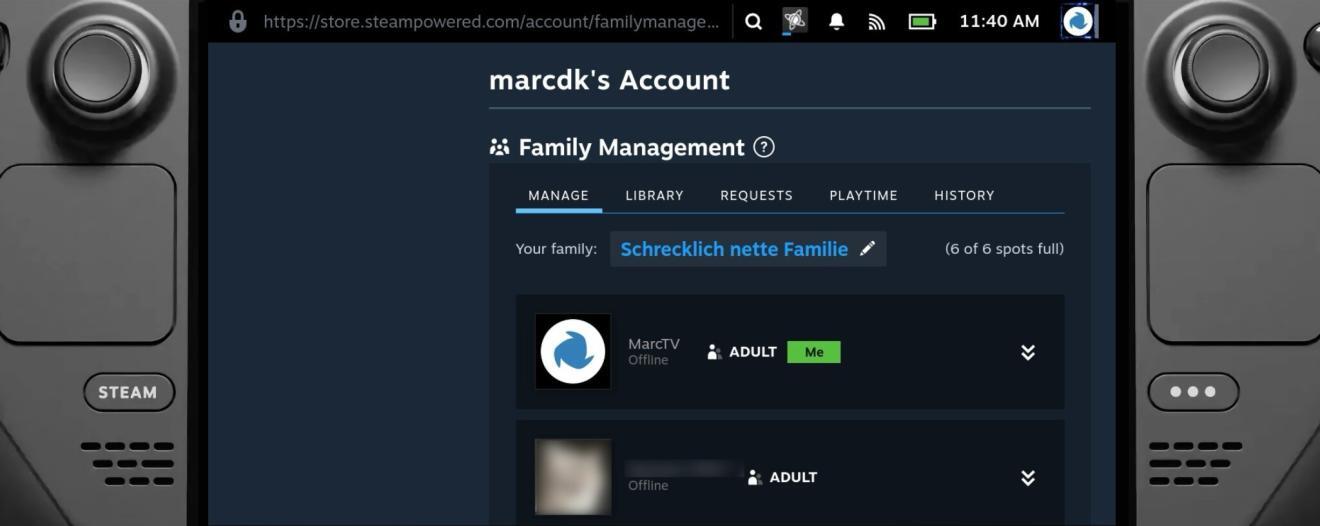 Die neue Steam Familienbibliothek Für jeden mehr Spiele ohne Nachteile