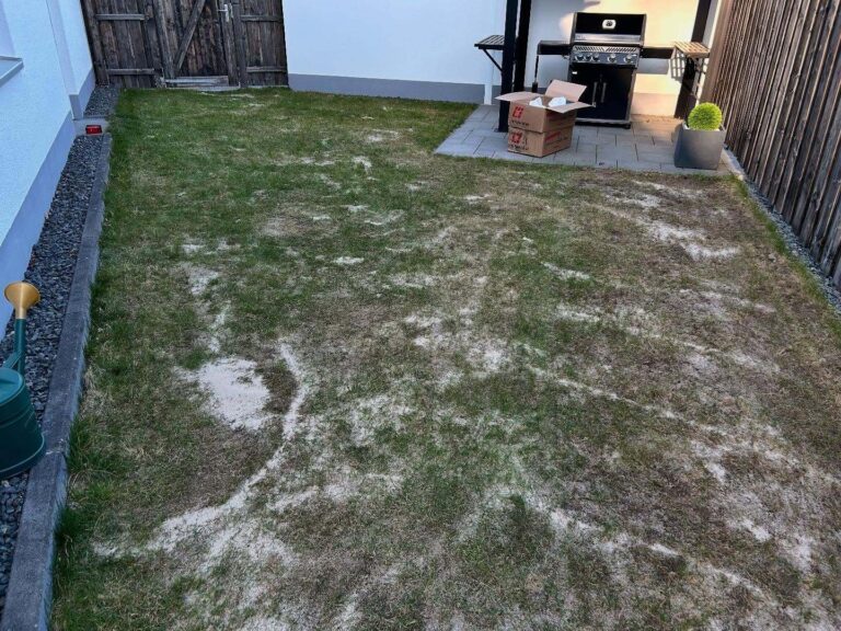 Jetzt sande ich schon den Rasen. Wenn das nicht klappt, kommt Kunstrasen.