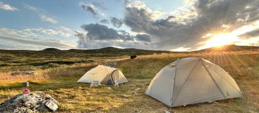 Hardangervidda Wildcampen