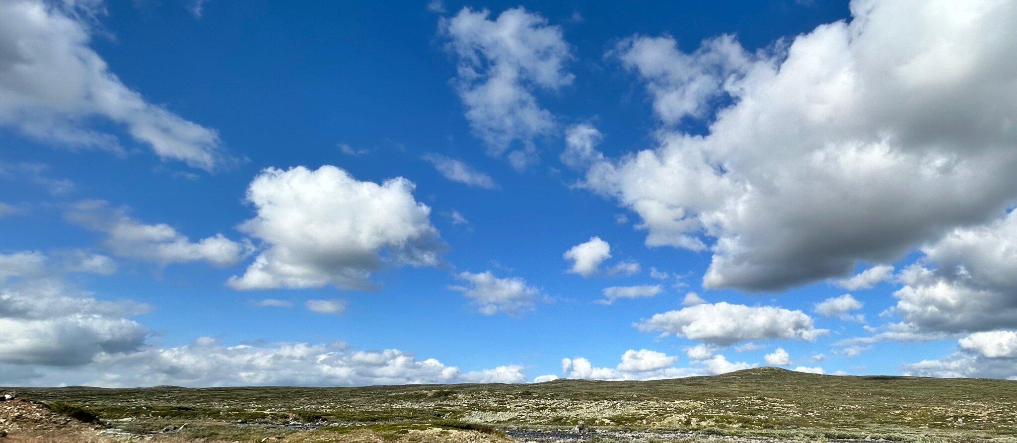 2025: Jahresrückblick – Dankbarkeit, Erlebnisse und Highlights