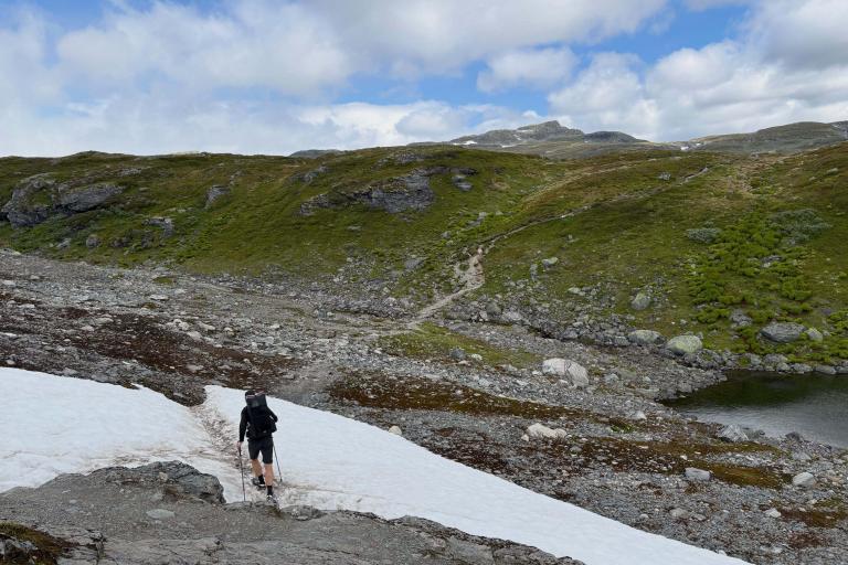 Wildcampen in Norwegen: Hardangervidda 2026